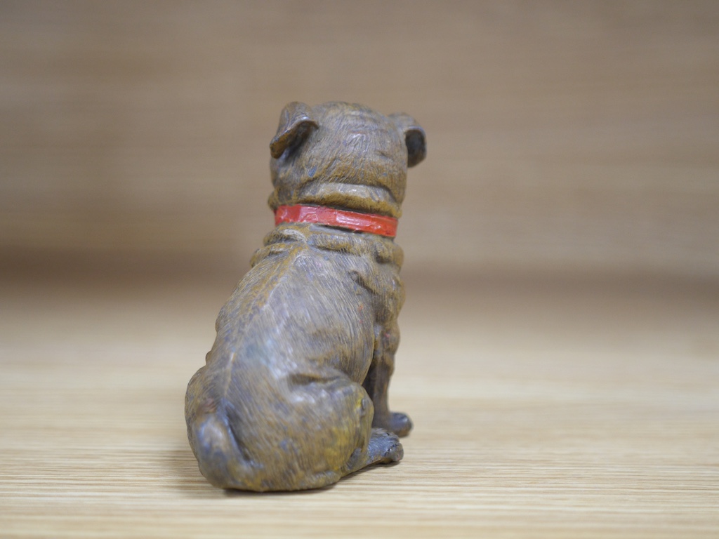 An early 20th century cold painted metal pug dog, 10.5cm high. Condition - good